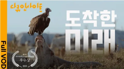 문서에 첨부된 수상작 이미지 2