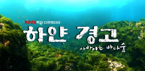 문서에 첨부된 수상작 이미지 1