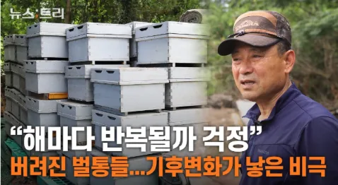 문서에 첨부된 수상작 이미지 1