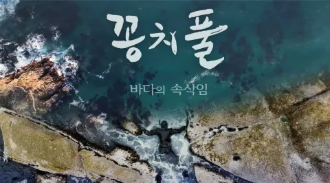 문서에 첨부된 수상작 이미지 1