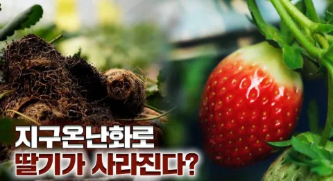문서에 첨부된 수상작 이미지 2